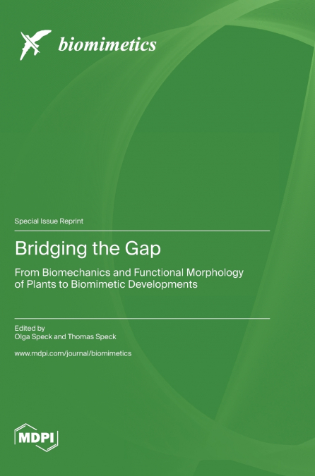 Bridging the Gap