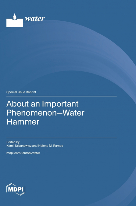 About an Important Phenomenon-Water Hammer