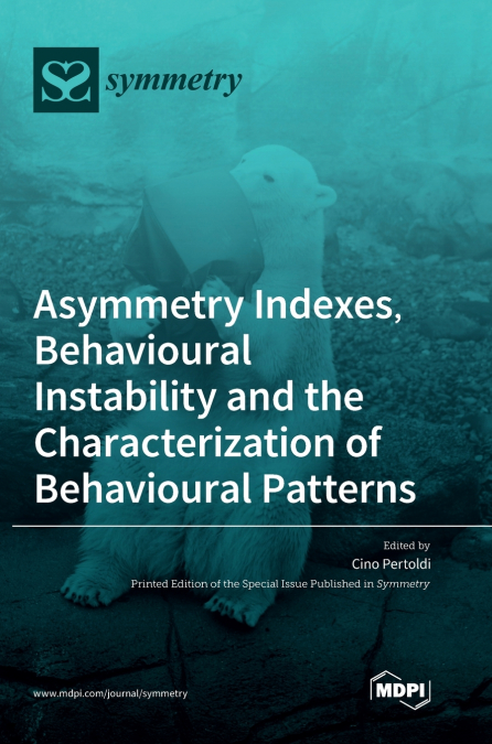 Asymmetry Indexes, Behavioural Instability and the Characterization of Behavioural Patterns