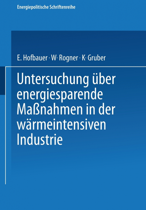 Untersuchung über energiesparende Maßnahmen in der wärmeintensiven Industrie