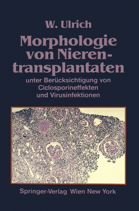 Morphologie Von Nierentransplantaten