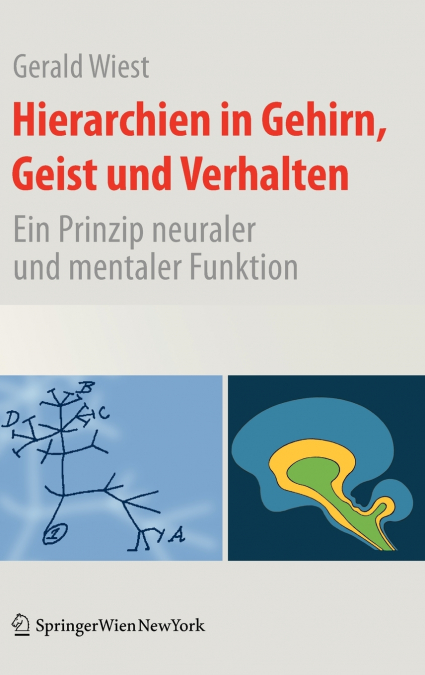 Hierarchien In Gehirn, Geist Und Verhalten