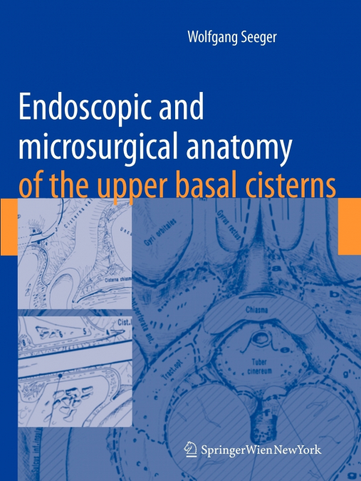 Endoscopic and microsurgical anatomy of the upper basal cisterns