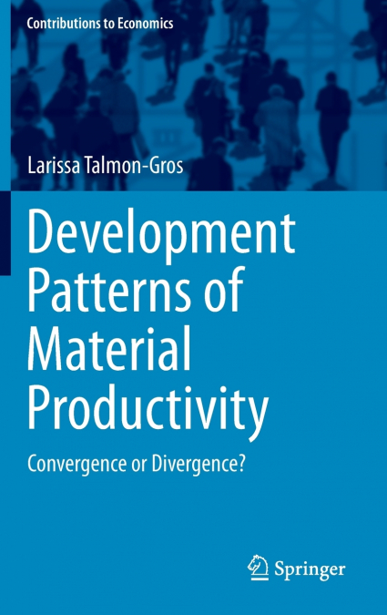 Development Patterns of Material Productivity