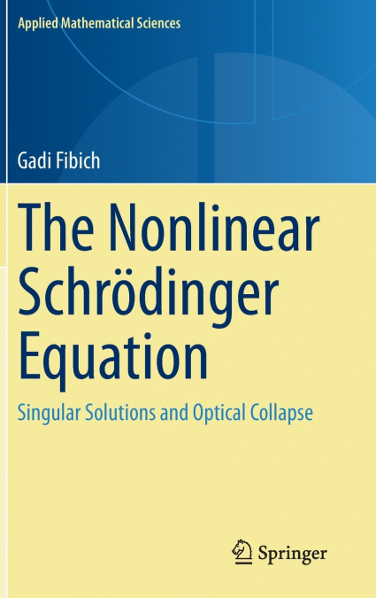 The Nonlinear Schrödinger Equation