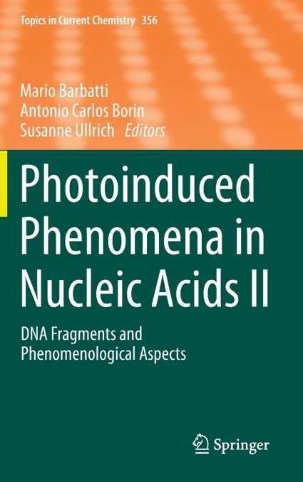 Photoinduced Phenomena in Nucleic Acids II