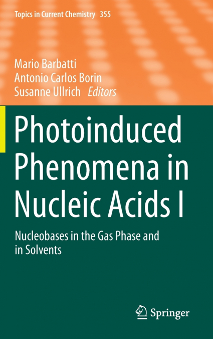 Photoinduced Phenomena in Nucleic Acids I