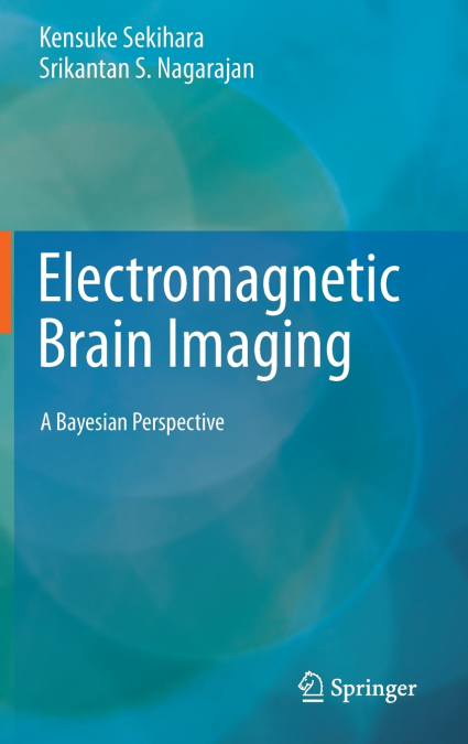 Electromagnetic Brain Imaging