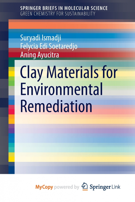Clay Materials for Environmental Remediation