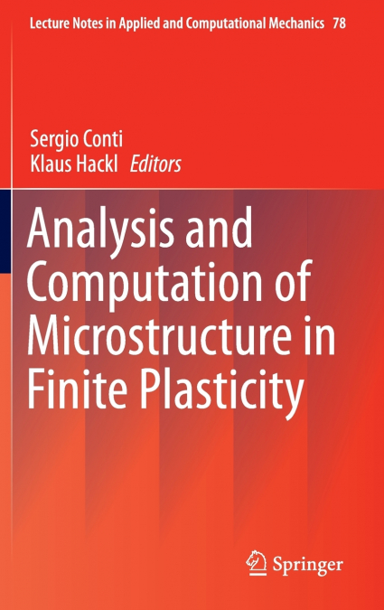 Analysis and Computation of Microstructure in Finite Plasticity