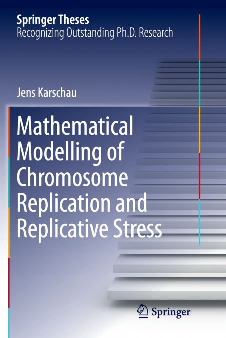 Mathematical Modelling of Chromosome Replication and Replicative Stress