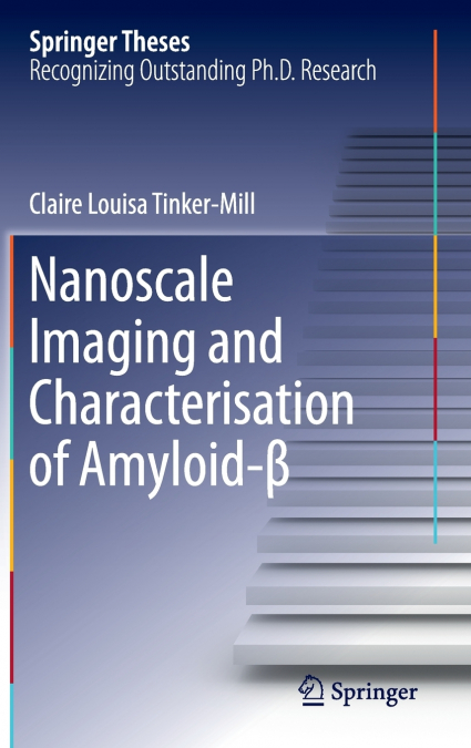 Nanoscale Imaging and Characterisation of Amyloid-β