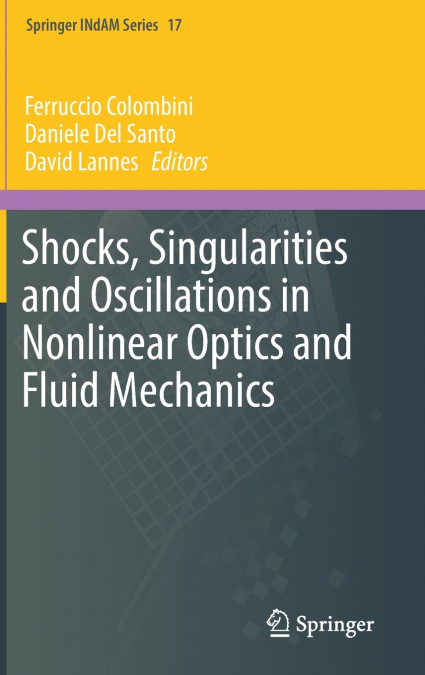 Shocks, Singularities and Oscillations in Nonlinear Optics and Fluid Mechanics