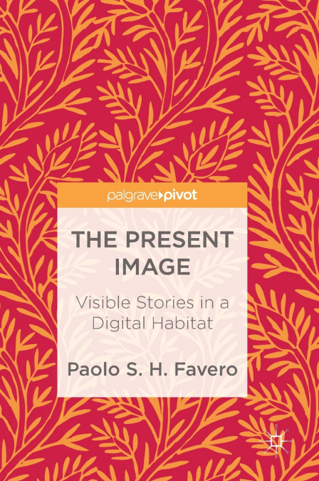 The Present Image
