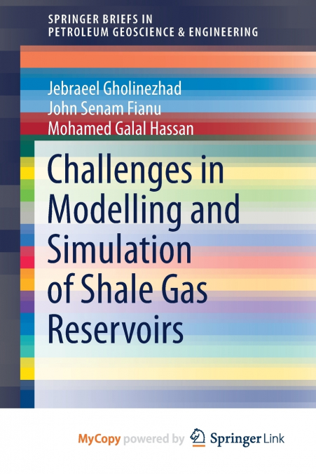 Challenges in Modelling and Simulation of Shale Gas Reservoirs
