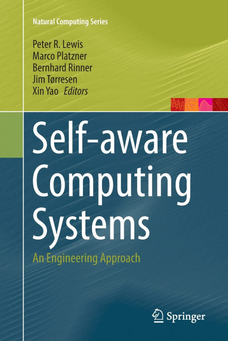 Self-aware Computing Systems