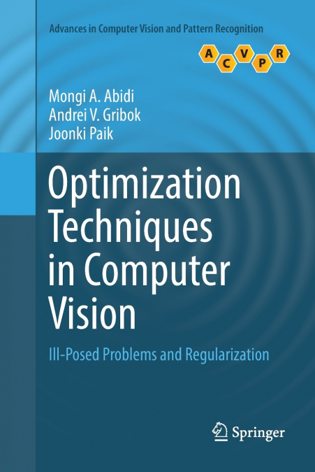 Optimization Techniques in Computer Vision