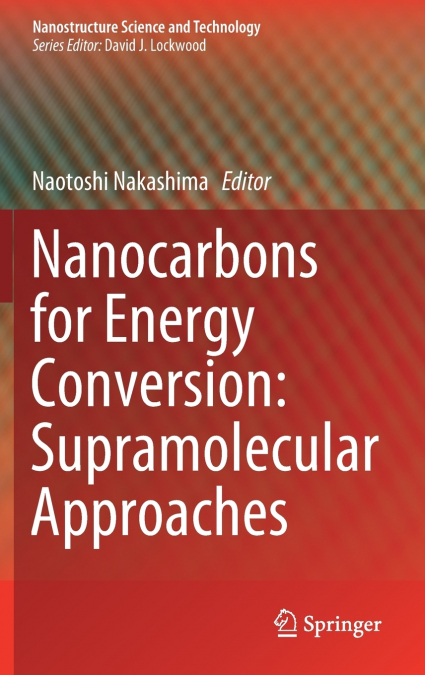 Nanocarbons for Energy Conversion