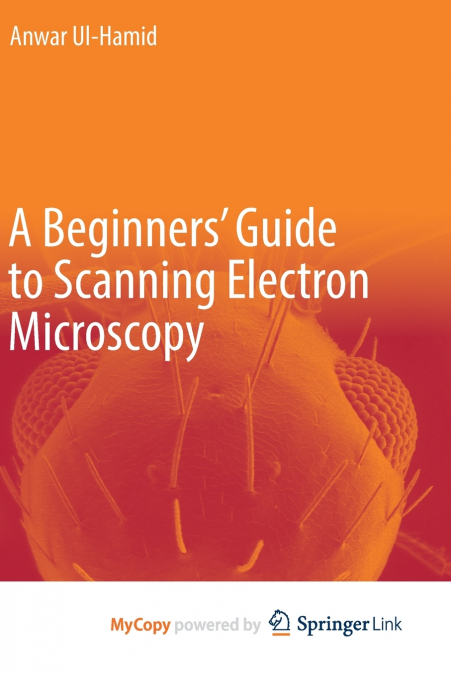 A Beginners’ Guide to Scanning Electron Microscopy