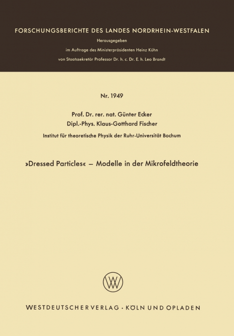 Dressed Particles - Modelle in der Mikrofeldtheorie