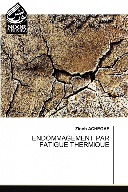 ENDOMMAGEMENT PAR FATIGUE THERMIQUE