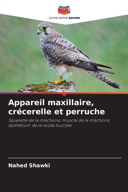 Appareil maxillaire, crécerelle et perruche