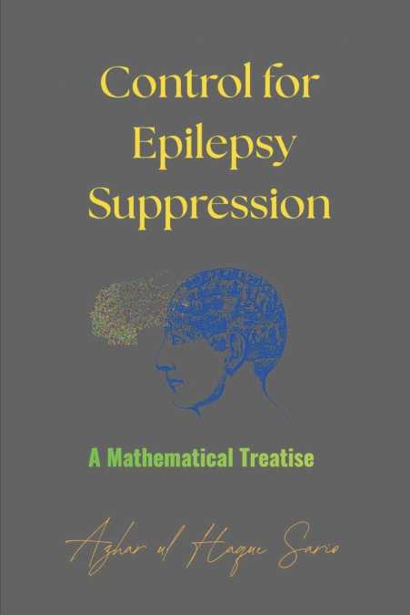 Control for Epilepsy Suppression