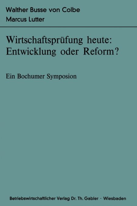 Wirtschaftsprüfung heute