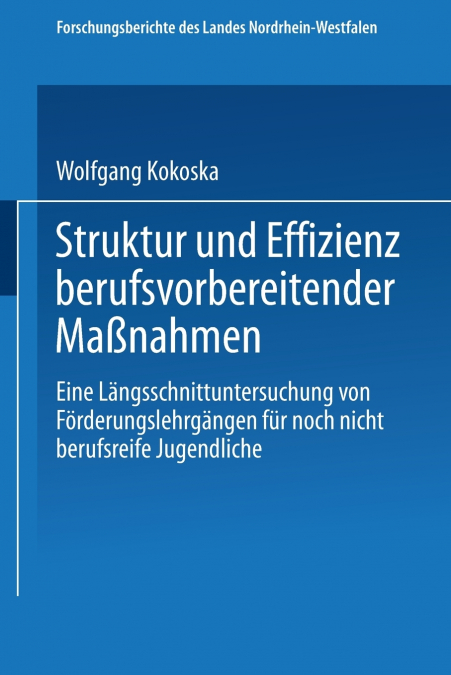 Struktur und Effizienz berufsvorbereitender Maßnahmen