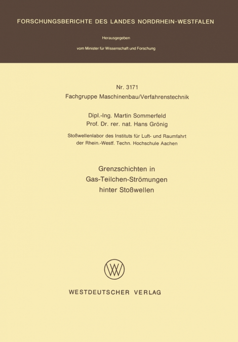 Grenzschichten in Gas-Teilchen-Strömungen hinter Stoßwellen