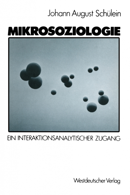 Mikrosoziologie