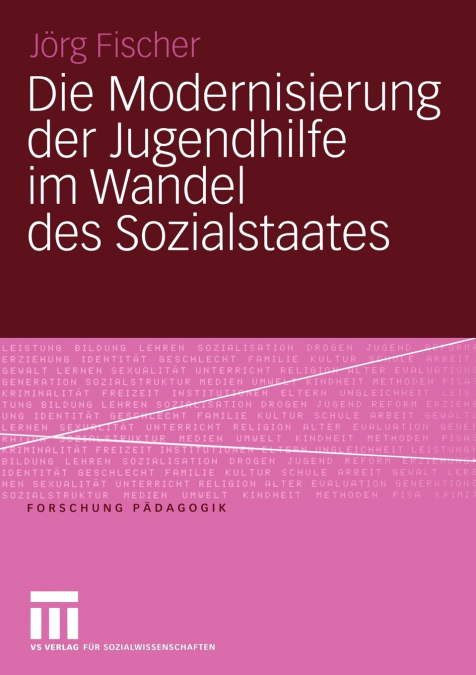 Die Modernisierung Der Jugendhilfe Im Wandel Des Sozialstaates