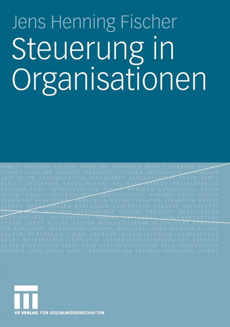 Steuerung in Organisationen