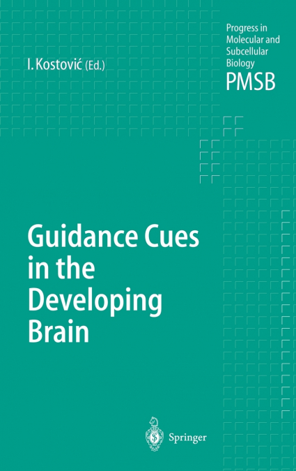 Guidance Cues in the Developing Brain