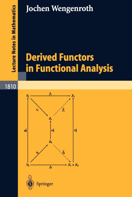 Derived Functors in Functional Analysis