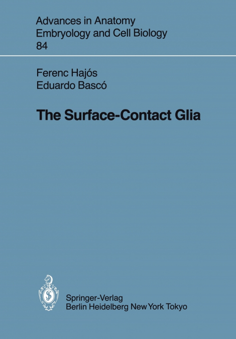 The Surface-Contact Glia
