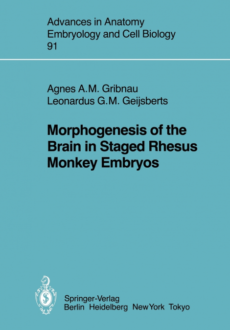 Morphogenesis of the Brain in Staged Rhesus Monkey Embryos