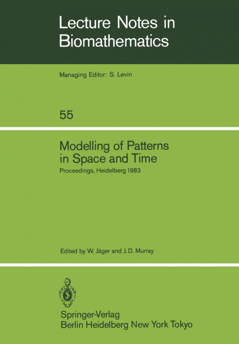 Modelling of Patterns in Space and Time
