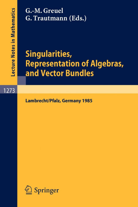 Singularities, Representation of Algebras, and Vector Bundles