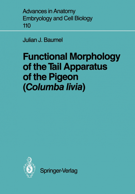 Functional Morphology of the Tail Apparatus of the Pigeon (Columba livia)