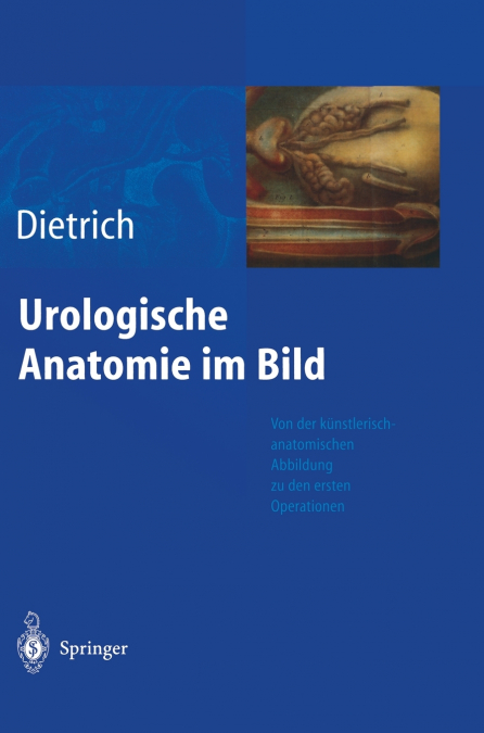 Urologische Anatomie im Bild