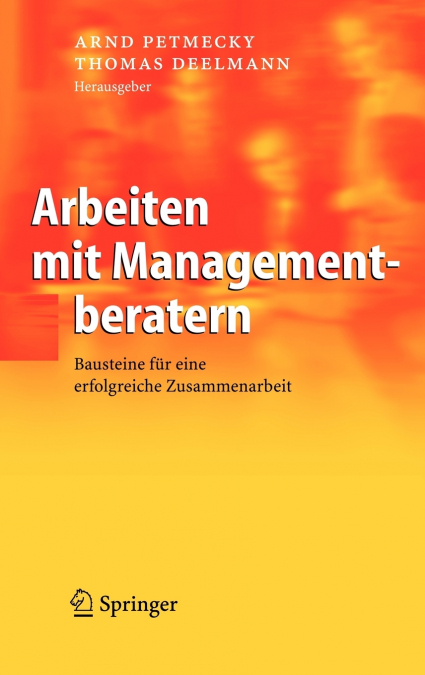 Arbeiten mit Managementberatern