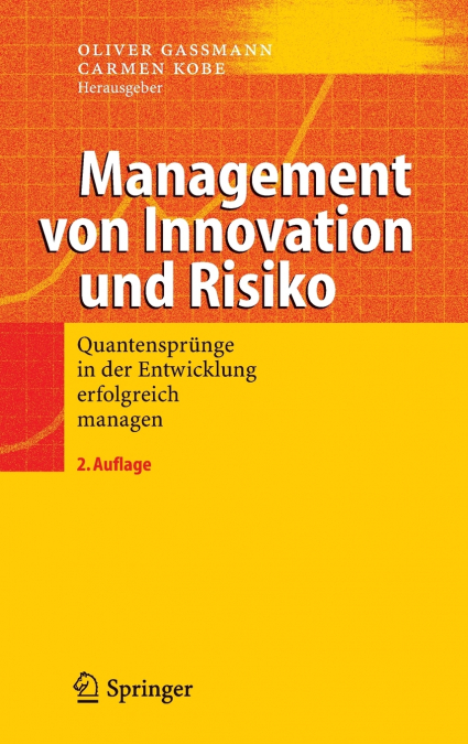 Management Von Innovation Und Risiko