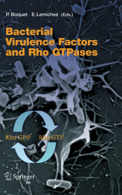 Bacterial Virulence Factors and Rho Gtpases