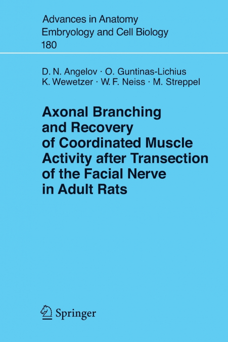 Axonal Branching and Recovery of Coordinated Muscle Activity After Transsection of the Facial Nerve in Adult Rats