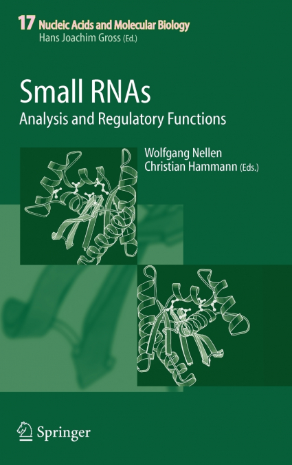 Small RNAs