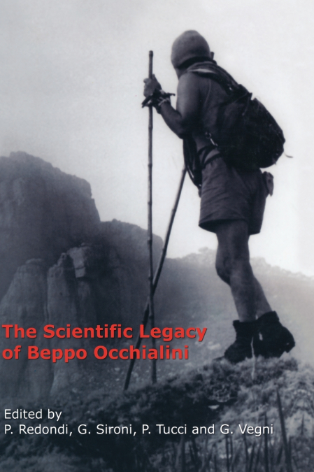 The Scientific Legacy of Beppo Occhialini