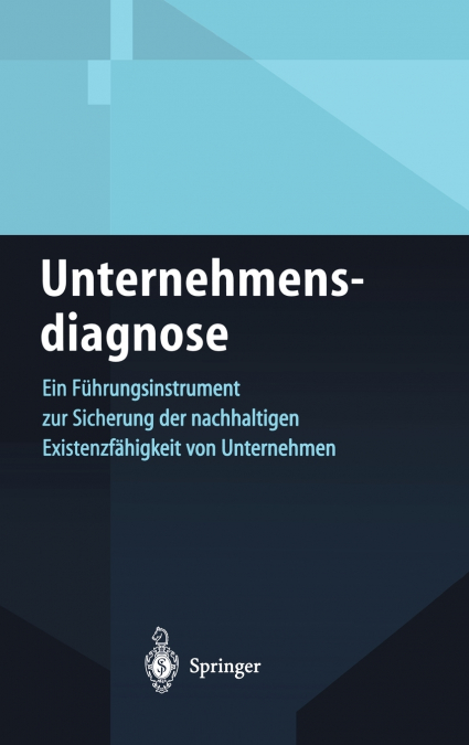 Unternehmensdiagnose