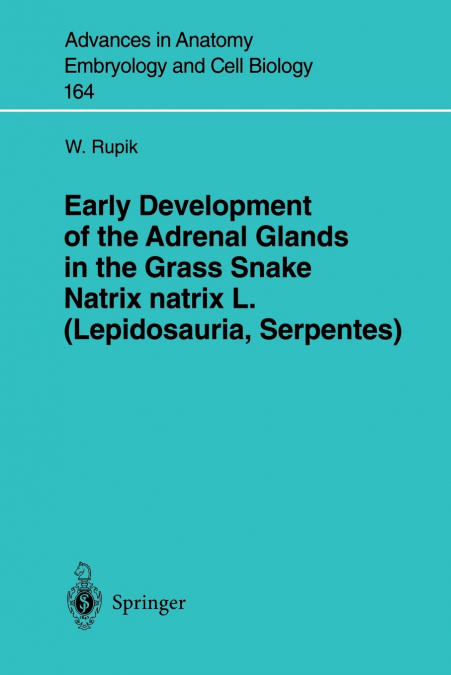 Early Development of the Adrenal Glands in the Grass Snake Natrix Natrix L. (Lepidosauria, Serpentes)