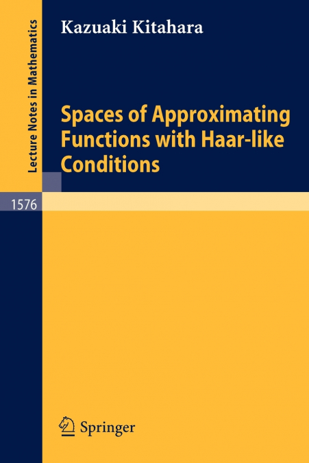 Spaces of Approximating Functions with Haar-like Conditions
